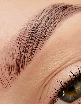 brows