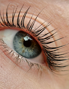 eyes