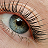 eyelashes