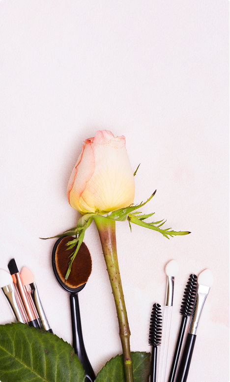 nobad_brows_basic